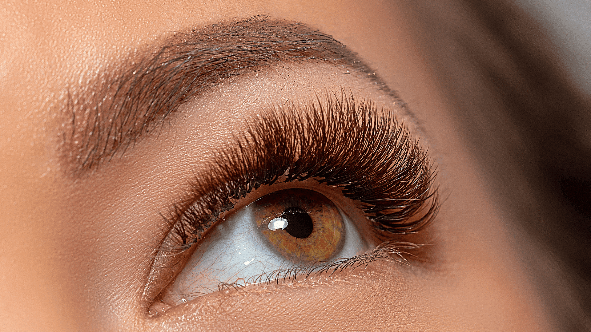 Close-up of a woman's eye with long, voluminous eyelashes and well-groomed eyebrow.